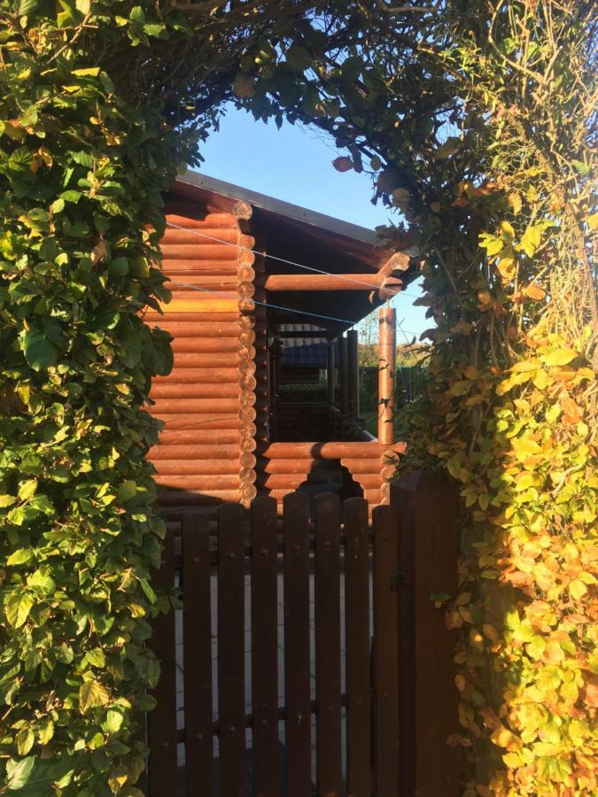 Cosy Countryside Log Cabin Kilkenny Bagian luar foto