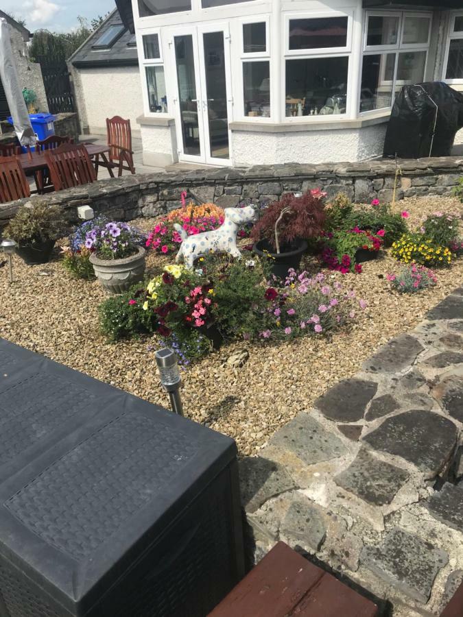 Cosy Countryside Log Cabin Kilkenny Bagian luar foto