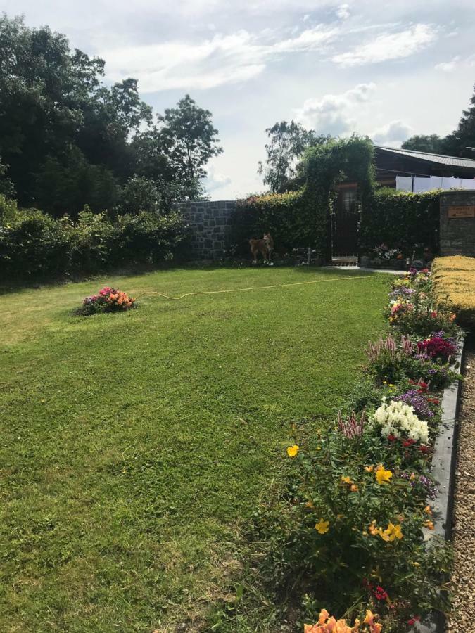 Cosy Countryside Log Cabin Kilkenny Bagian luar foto