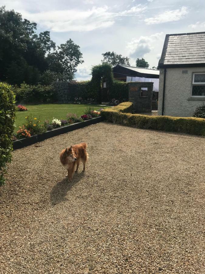 Cosy Countryside Log Cabin Kilkenny Bagian luar foto